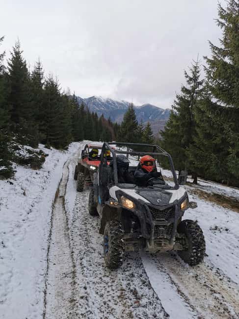 From Bucharest: Snowmobile Tour in the Carpathian Mountains - Cost Breakdown and Additional Fees