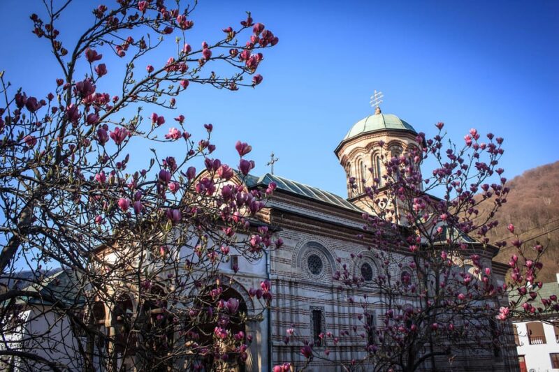 From Bucharest: Unravel Medieval Transylvania in 3-Day Tour - Discovering Sibiu’s Medieval Charm