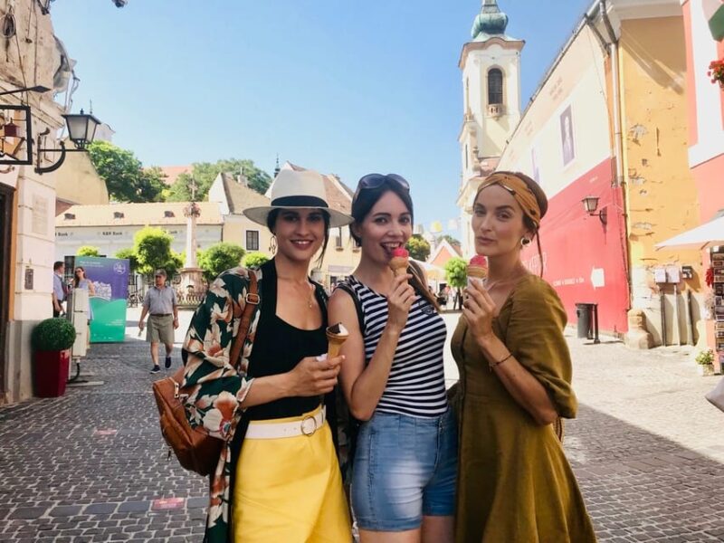 From Budapest: Full or Half Day Danube Bend Cruises - Comfort and Practical Details