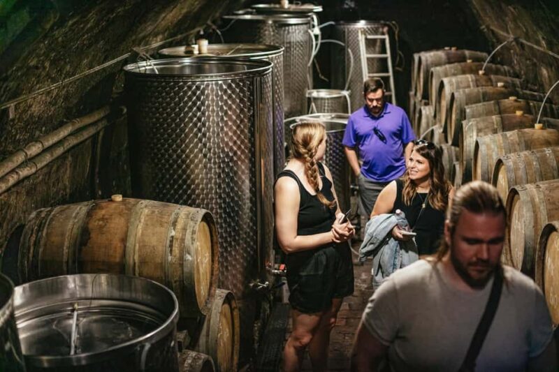 From Budapest: Half-Day Countryside Wine Tour with Meal - The Unique Charm of Etyeks Countryside