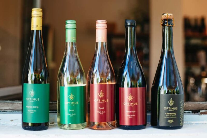 From Budapest: Half-Day Countryside Wine Tour with Meal - Guides and Personalization