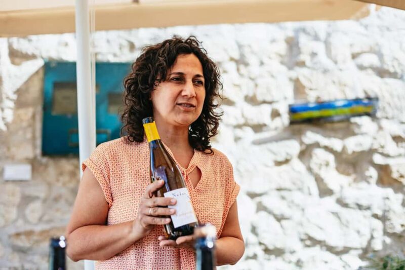 From Budapest: Half-Day Countryside Wine Tour with Meal - Pricing, Booking, and Cancellation