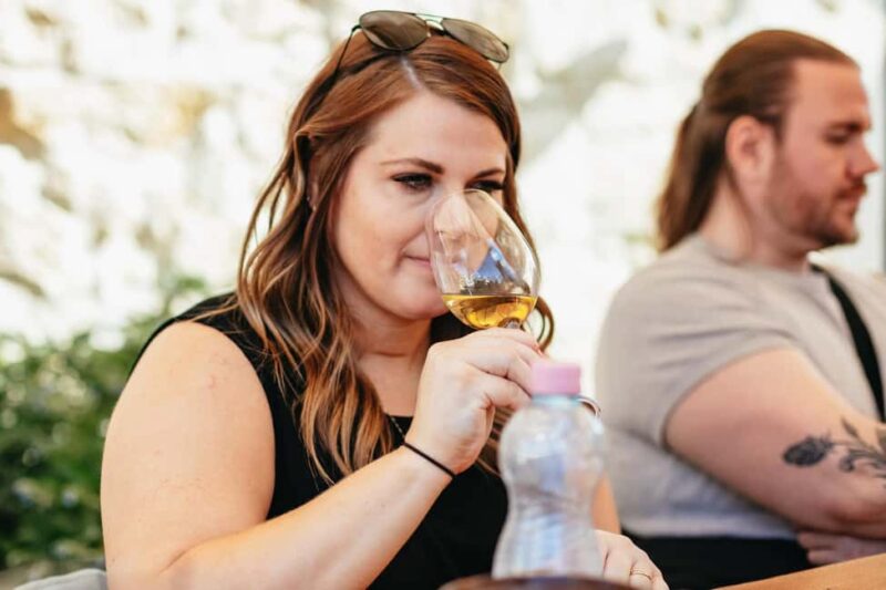 From Budapest: Half-Day Countryside Wine Tour with Meal - The Sum Up: A Charming, Authentic Hungarian Wine Experience