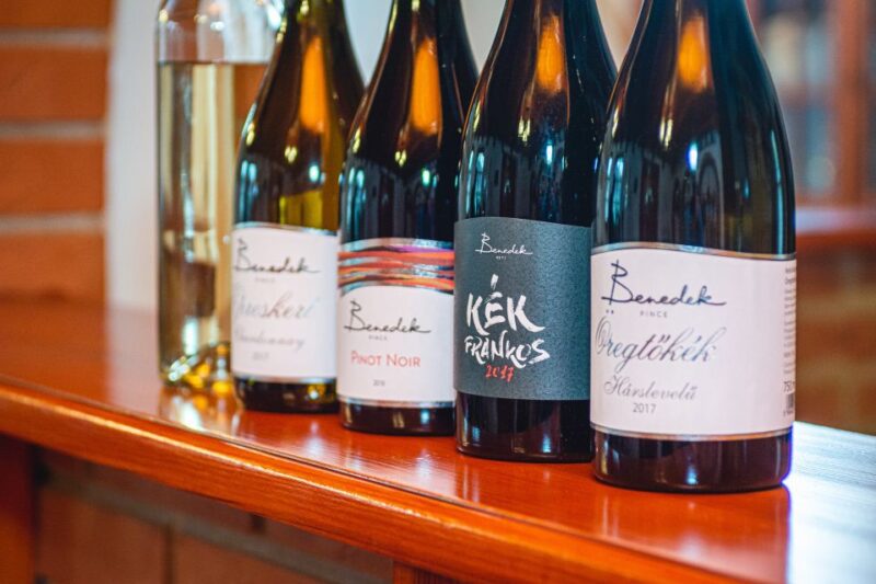 From Budapest: Mátra Hills Wine Tour - Visiting Two Unique Local Wineries