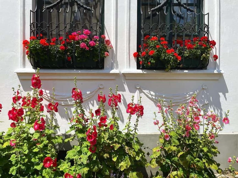 From Budapest: Szentendre Art and History with StreetFood - Sampling Local Wines, Pastries, and Delicacies