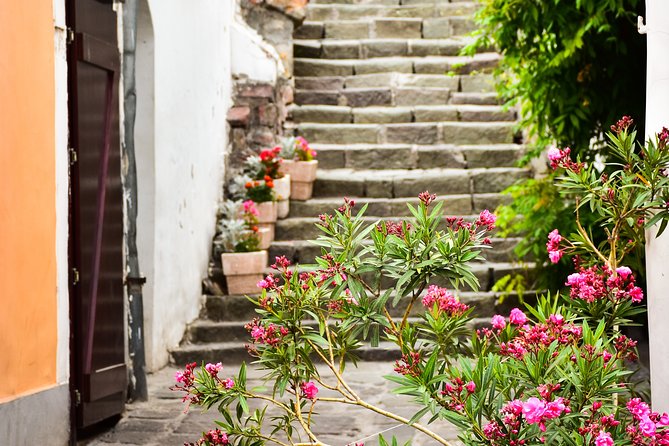 From Budapest: Szentendre Tour - Scenic Boat Cruise During Summer Season