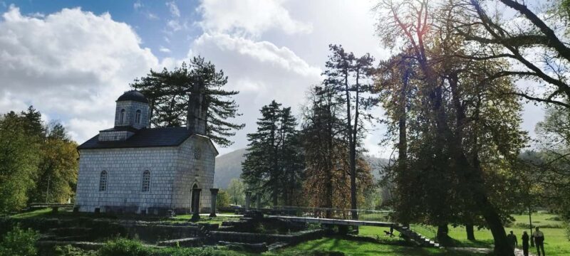 From Budva/Kotor: Montenegro Highlights Tour & Lake Cruise - Discovering Cetinje’s Cultural Heritage