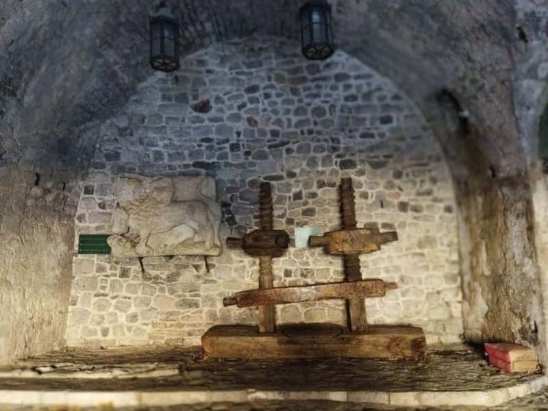 From Budva: Phoenix Town & Town of Pirates in One Day - Practicalities of the Tour: Transport and Guides