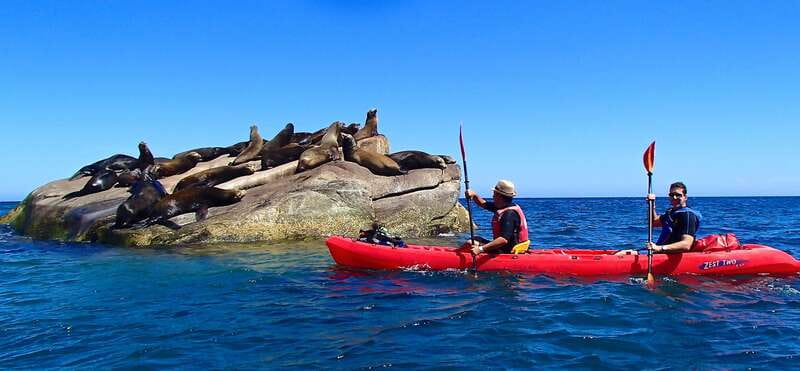 From Cabo: Cabo Pulmo Marine Park Snorkeling and Kayaking - Guided Kayak Adventure to La Sirenita Beach