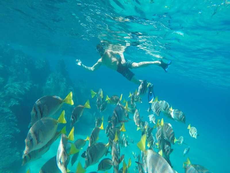 From Cabo San Lucas: Lovers Beach and El Arco Boat Trip - Practical Tips for Leisure Time at Lovers Beach