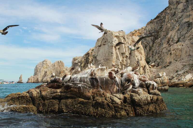 From Cabo San Lucas: Lovers Beach and El Arco Boat Trip - The Experience with Best Cabo Adventures