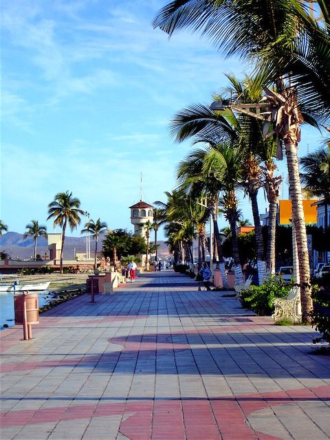 From Cabo: Snorkel with Whale Sharks in La Paz - La Pazs Boardwalk and Local Baja-Style Lunch