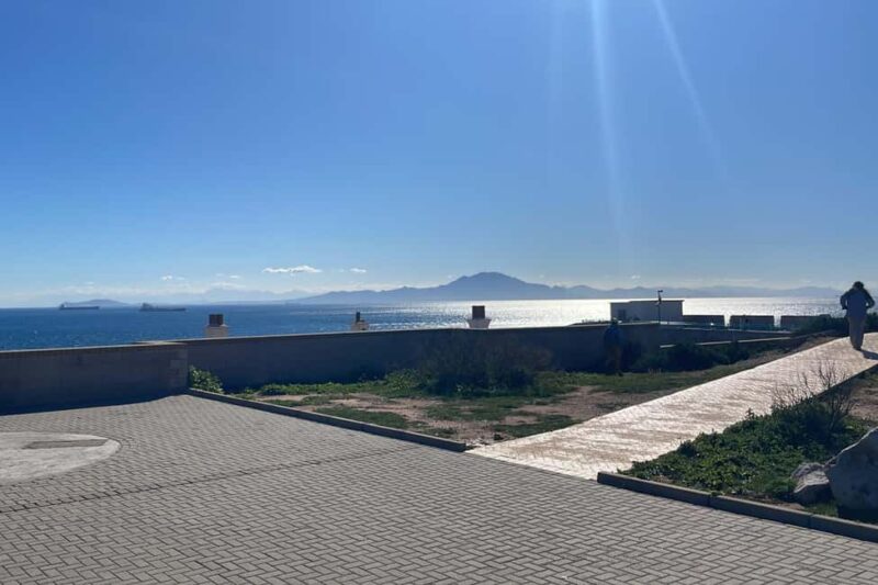 From Cadiz Bay: Gibraltar Day Trip with Rock Tour - Watching the Gibraltar Monkeys: Europes Only Free-Ranging Primates