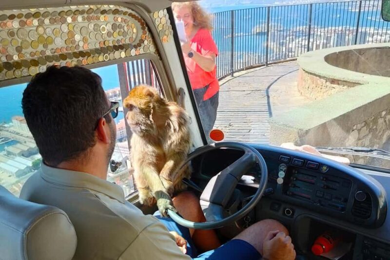 From Cadiz Bay: Gibraltar Day Trip with Rock Tour - Practical Tips for a Smooth Experience