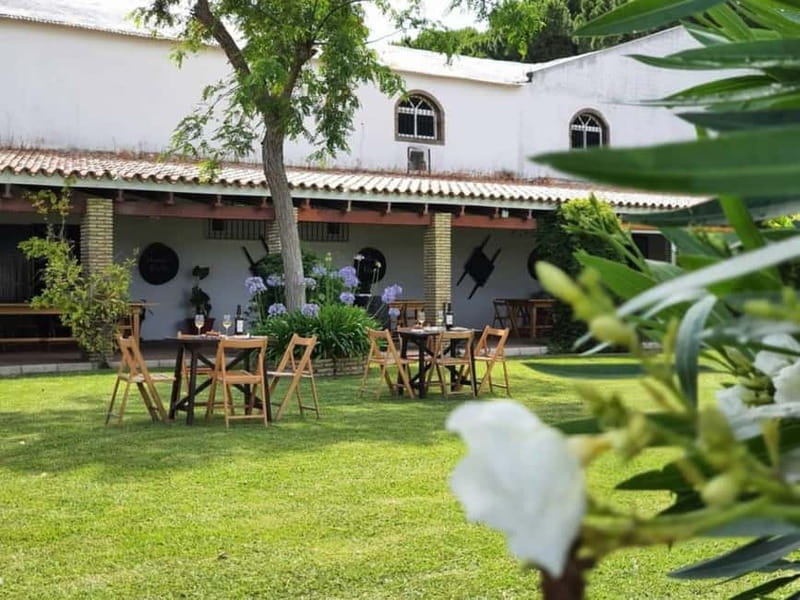 From Cádiz: Chiclana de la Frontera Winery Tour with Lunch - Discover the Charm of Chiclana de la Frontera’s Family-Run Winery