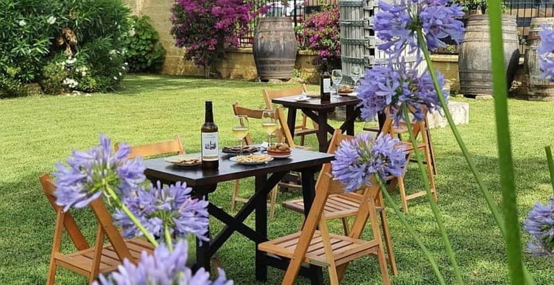 From Cádiz: Chiclana de la Frontera Winery Tour with Lunch - Tasting the Flavors of Andalusia’s Wines