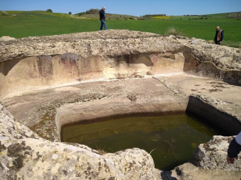 From Cagliari: Day Trip to Domus de Janas Fairy Houses - Scenic Drive Through Sardinian Countryside