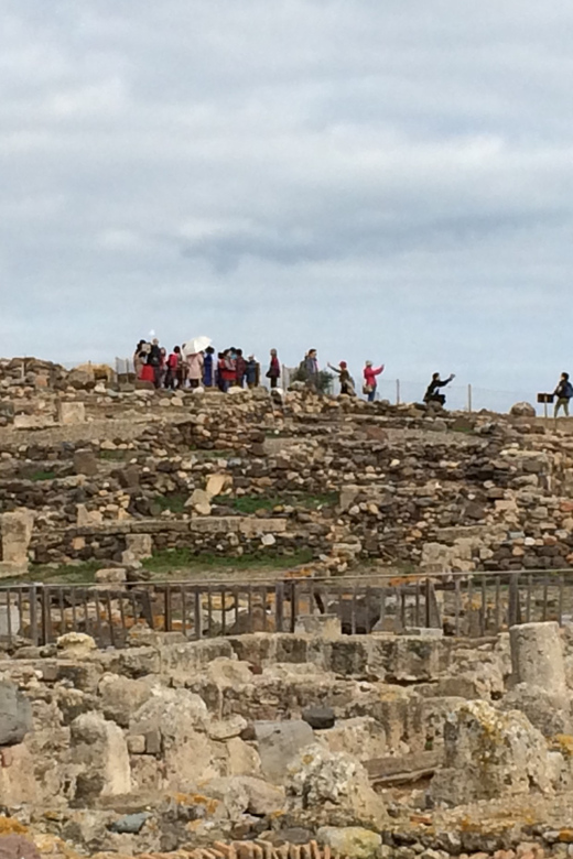 From Cagliari: Nora Ruins and Pula Guided Tour - The Guide: Knowledgeable and Engaging