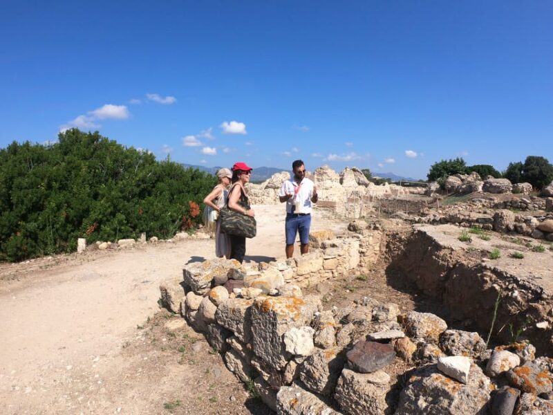 From Cagliari: Nora Ruins and Pula Guided Tour - Who Will Enjoy This Tour Most?