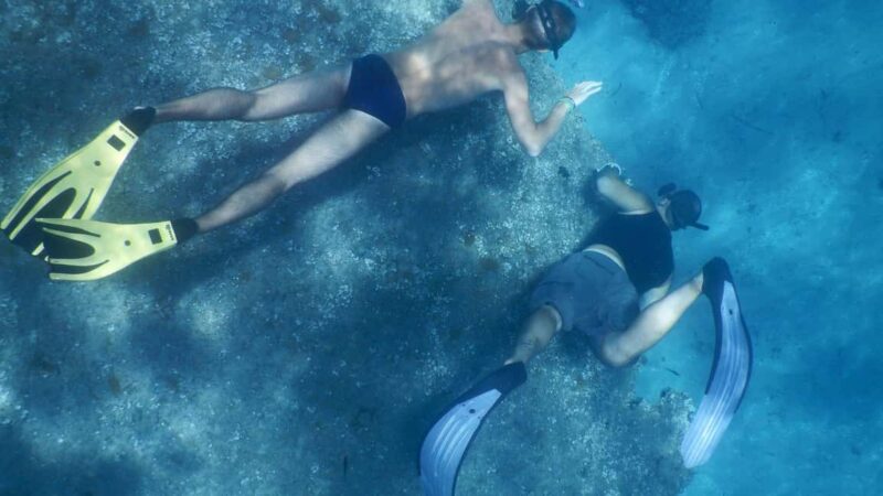 From Cala Gonone: snorkeling in the Orosei Gulf - Exploring the Gulf of Orosei’s Marine Environment