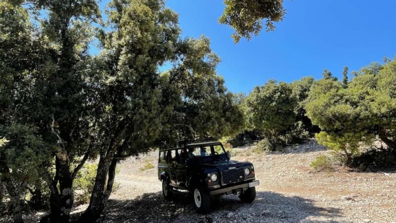 From Cala Gonone: Tiscali Nuragic Village Trekking Tour - Learning About Sardinian Culture and Nuragic Civilization