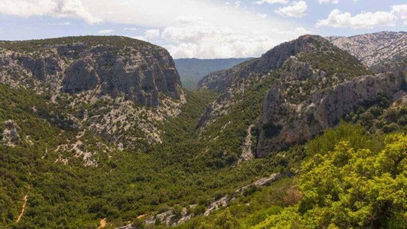 From Cala Gonone: Tiscali Nuragic Village Trekking Tour - Practicalities: What to Bring and Know Before You Go