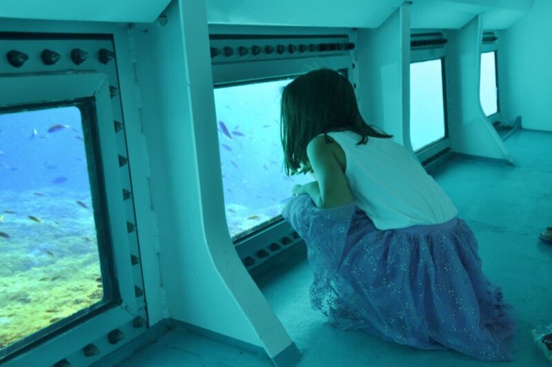 From Cala Millor: East Coast Glass-Bottom Boat Trip - Detailed Overview of the Glass-Bottom Boat Tours from Cala Millor