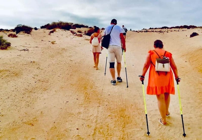 From Caleta: Sotavento, La Pared, Morro Jable Tour - Physical Requirements and Accessibility