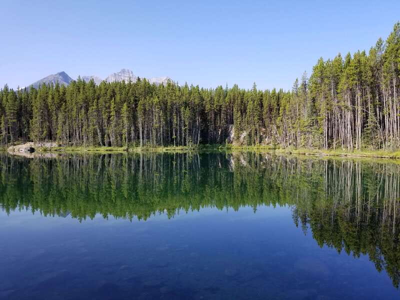 From Calgary/Banff: Columbia Icefield Glacier Full-Day Trip - Practical Considerations and Limitations