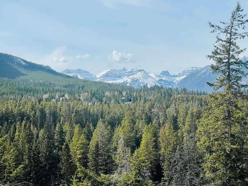 From Calgary: Banff, Moraine Lake and Lake Louise Tour - Moraine Lake (Summer) and Johnston Canyon (Off-Season)