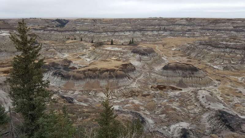 From Calgary: Canadian Badlands Private Geological Tour - Weather, Packing, and Accessibility Tips