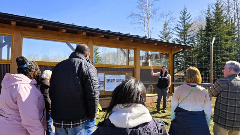 From Calgary to Banff: Day Trip with Wolfdog Sanctuary Visit - Starting Point: An All-Inclusive Day Trip from Calgary