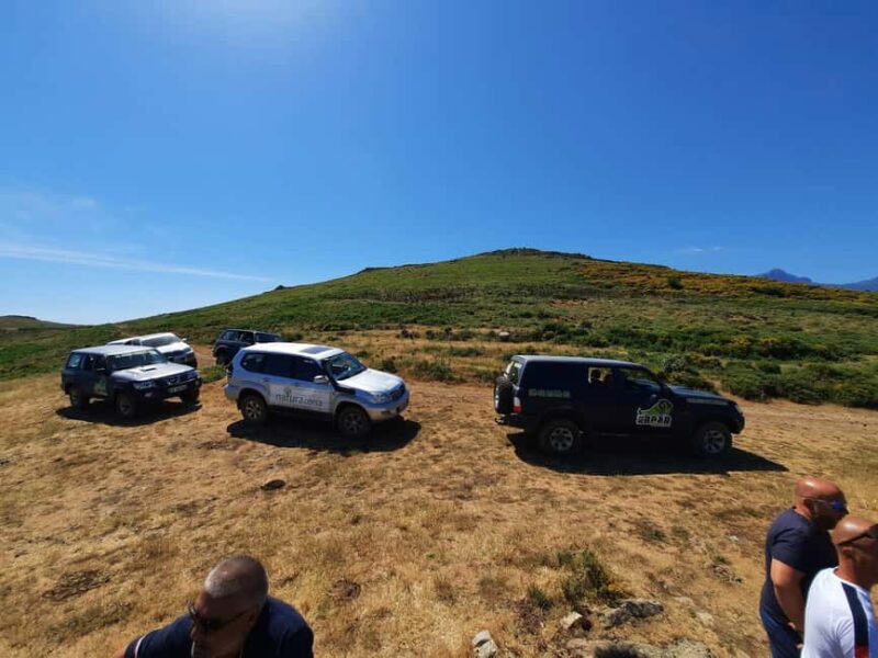 From Calvi: 4x4 Day Tour Mountain & Agriates' Saleccia Beach - Reaching 1200 Meters for a 360-Degree View