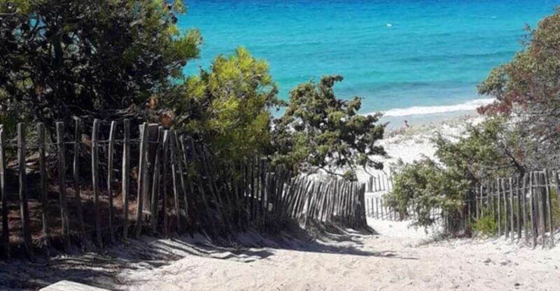 From Calvi: 4x4 Day Tour Mountain & Agriates' Saleccia Beach - The Role of the Local Guide