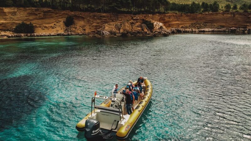 From Can Picafort: Dolphin Watching and Cave Boat Trip - From Can Picafort: Dolphin Watching and Cave Boat Trip