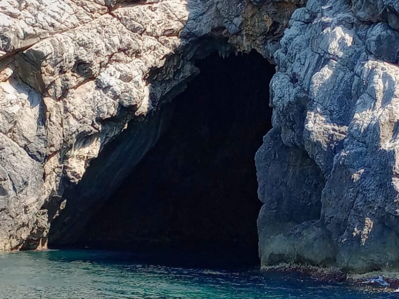 From Can Picafort: Dolphin Watching and Cave Boat Trip - Swimming and Snorkeling at Es Coll Baix