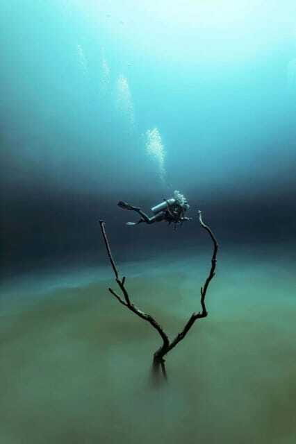 From Cancun: Angelita and Taj Ma Ha Cenote Diving Experience - The Diving Experience and Equipment Provided