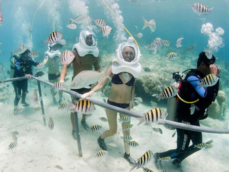 From Cancun: Full Combo to Xcaret Park! - What Makes This Tour Stand Out from Other Cancun Excursions