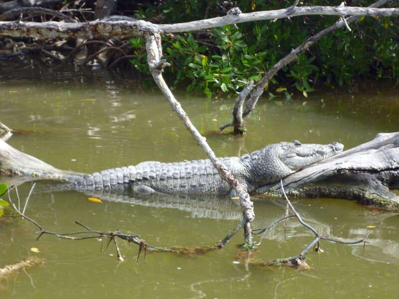 From Cancun: Kantemó Snake Cavern Adventure - The Bike Tour through the Yucatán Peninsula