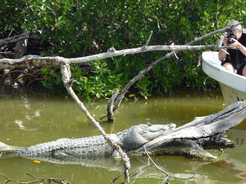From Cancun: Kantemó Snake Cavern Adventure - Practical Details: Transportation, Meals, and Group Size
