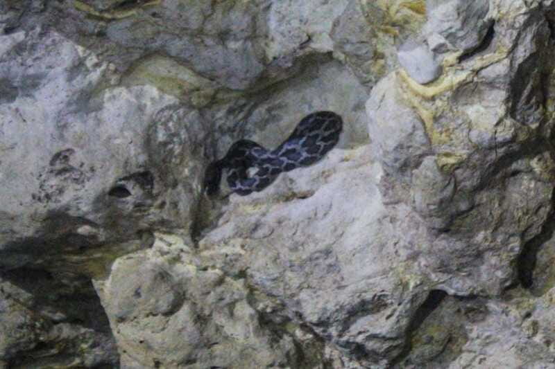 From Cancun: Kantemó Snake Cavern Adventure - The Experience Provider and Booking Flexibility