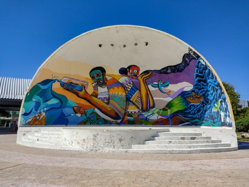 From Cancun or Puerto Morelos: Holbox Boat Tour with Lunch - The Boat Tour and Natural Views