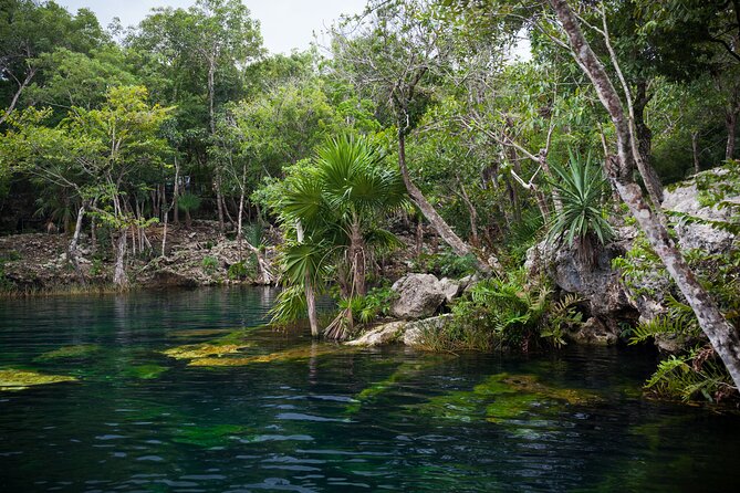 From Cancún: Private DayTrip to Chichén Itzá, Cenote & Valladolid - Pacing, Physical Requirements, and Accessibility