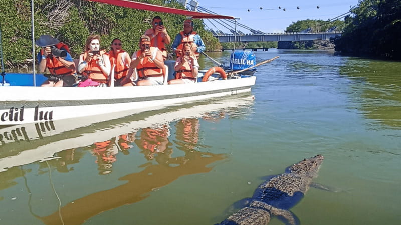 From Cancún: Rio Lagartos & Las Coloradas Day Trip & Lunch - Practical Tips for the Tour