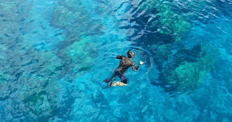 From Cancun: Snorkeling Cozumel The Heaven - Exploring the Reefs of Cozumel National Marine Park
