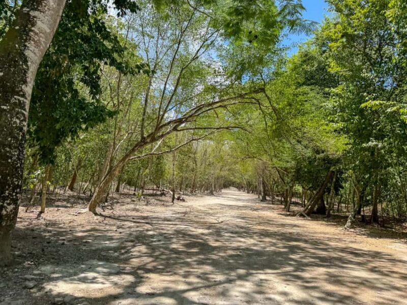 From Cancun: Tulum and Coba Tour with a cenote visit and buffet lunch - Explore Two Iconic Mayan Archaeological Sites in One Day