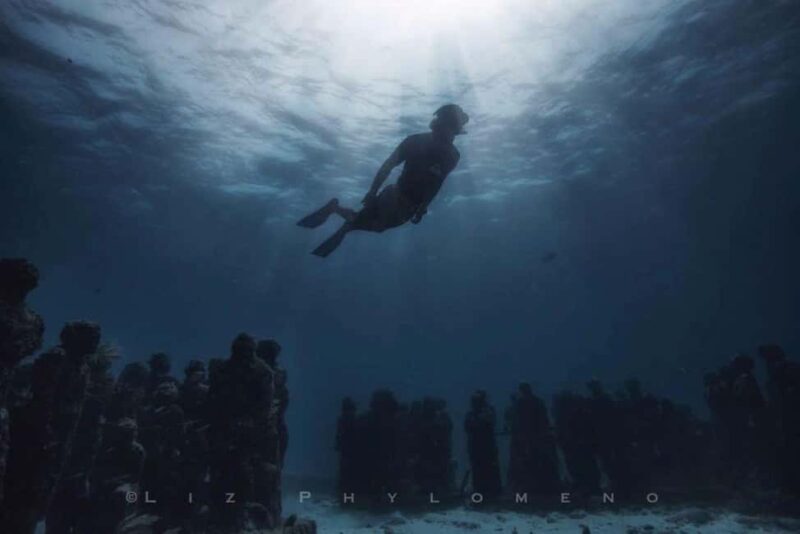 From Cancun: Whale Sharks Snorkeling - Encountering Whale Sharks in Their Natural Habitat
