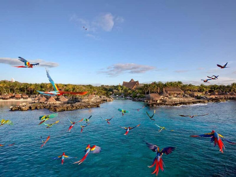 From Cancun: Xcaret Plus Park, the complete experience - Tasting the Flavors of Mexico with a Buffet Lunch