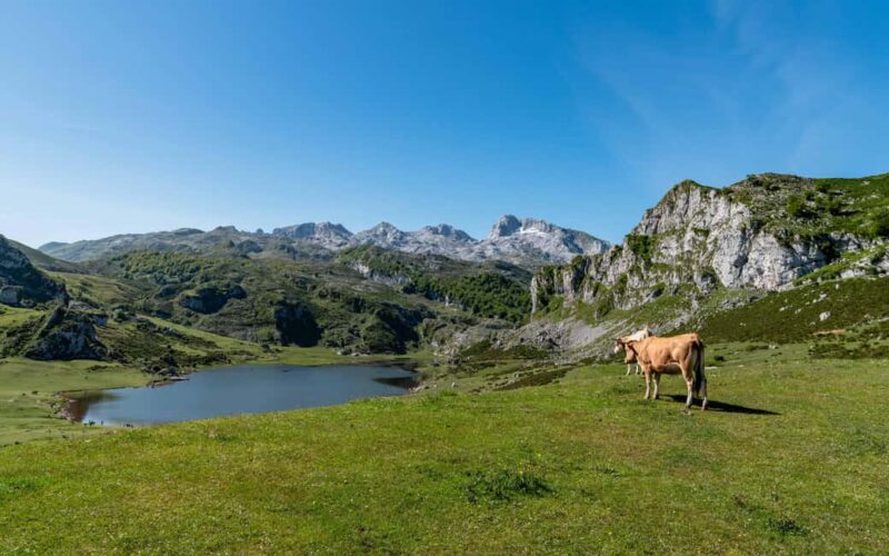 From Cangas de Onís: Lakes of Covadonga and Bulnes by funicular - Returning to Poncebos and Heading to Covadonga Lakes