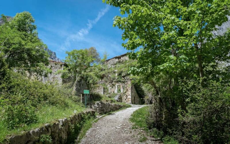 From Cangas de Onís: Lakes of Covadonga and Bulnes by funicular - The Overall Value of the Tour